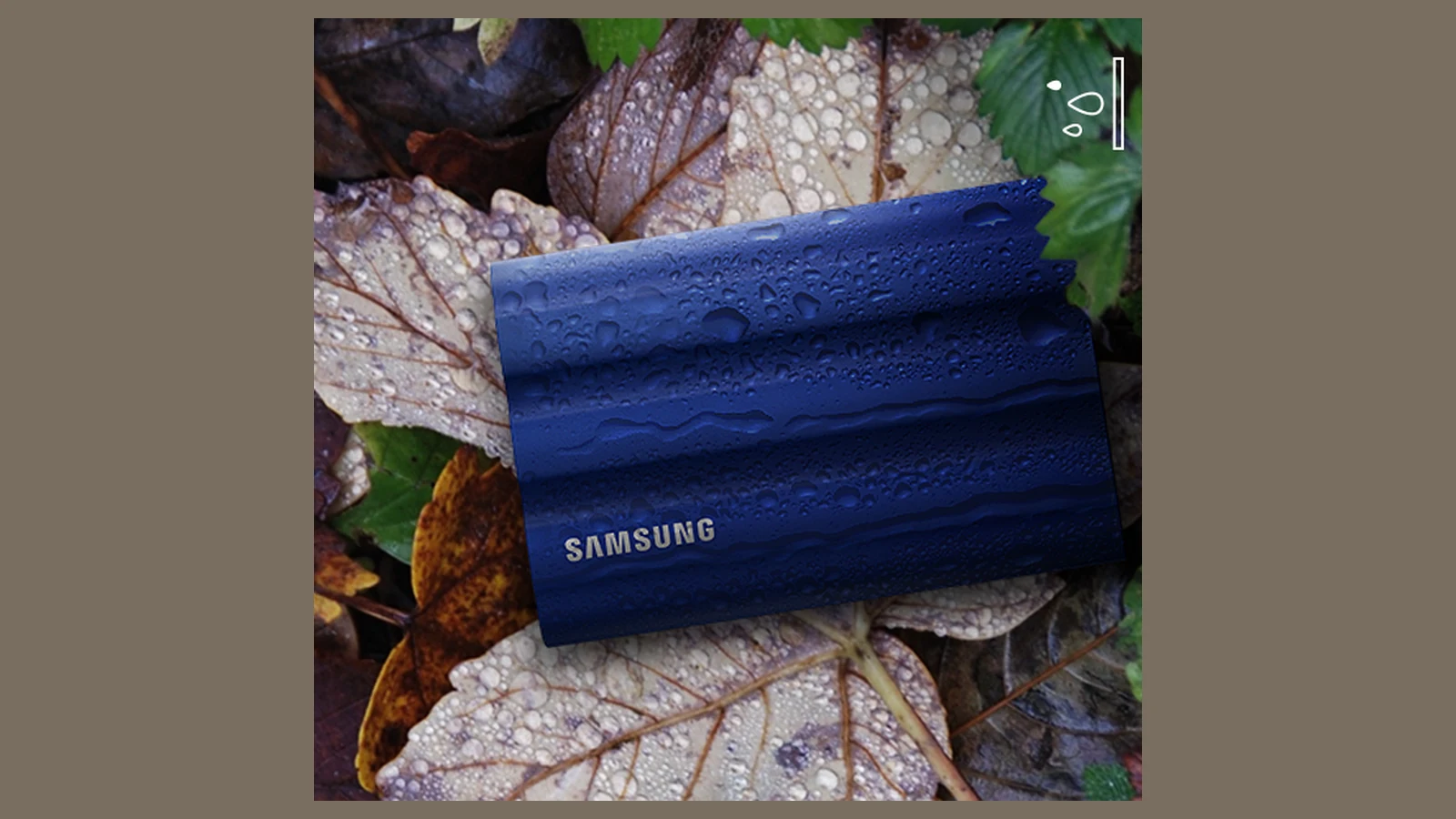 microSD Express vs Portable SSD for Field Loggers