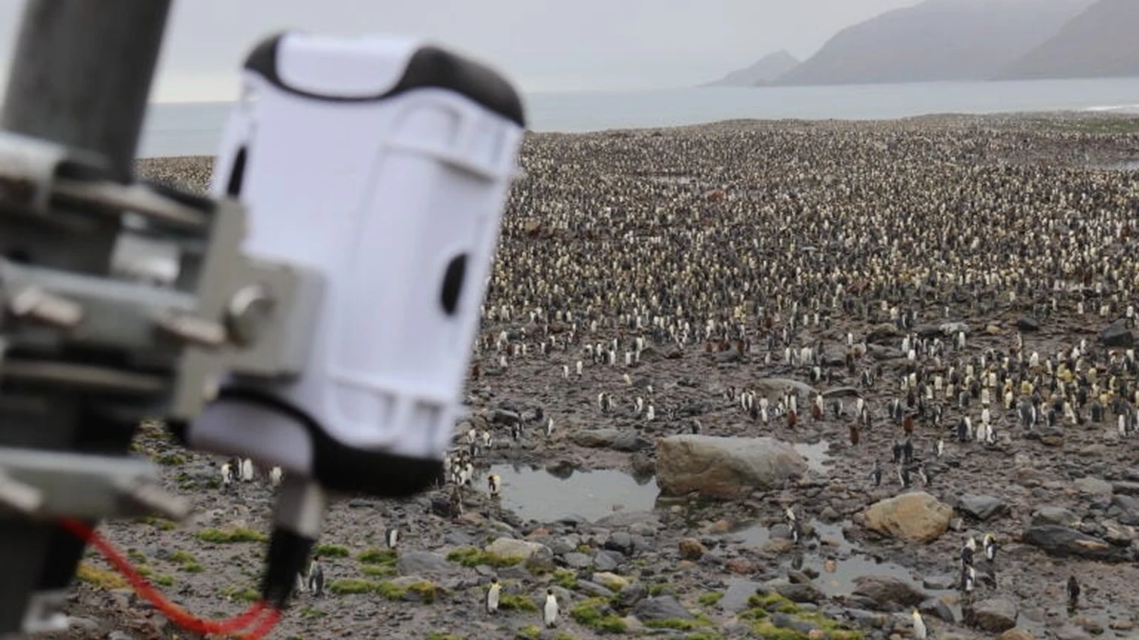 Remote penguin research site with project monitoring equipment in the foreground