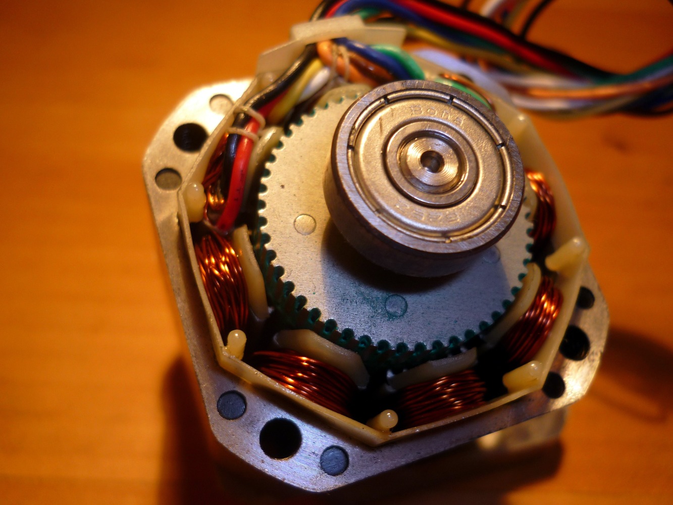 Open stepper motor showing the rotor, stator teeth and copper windings
