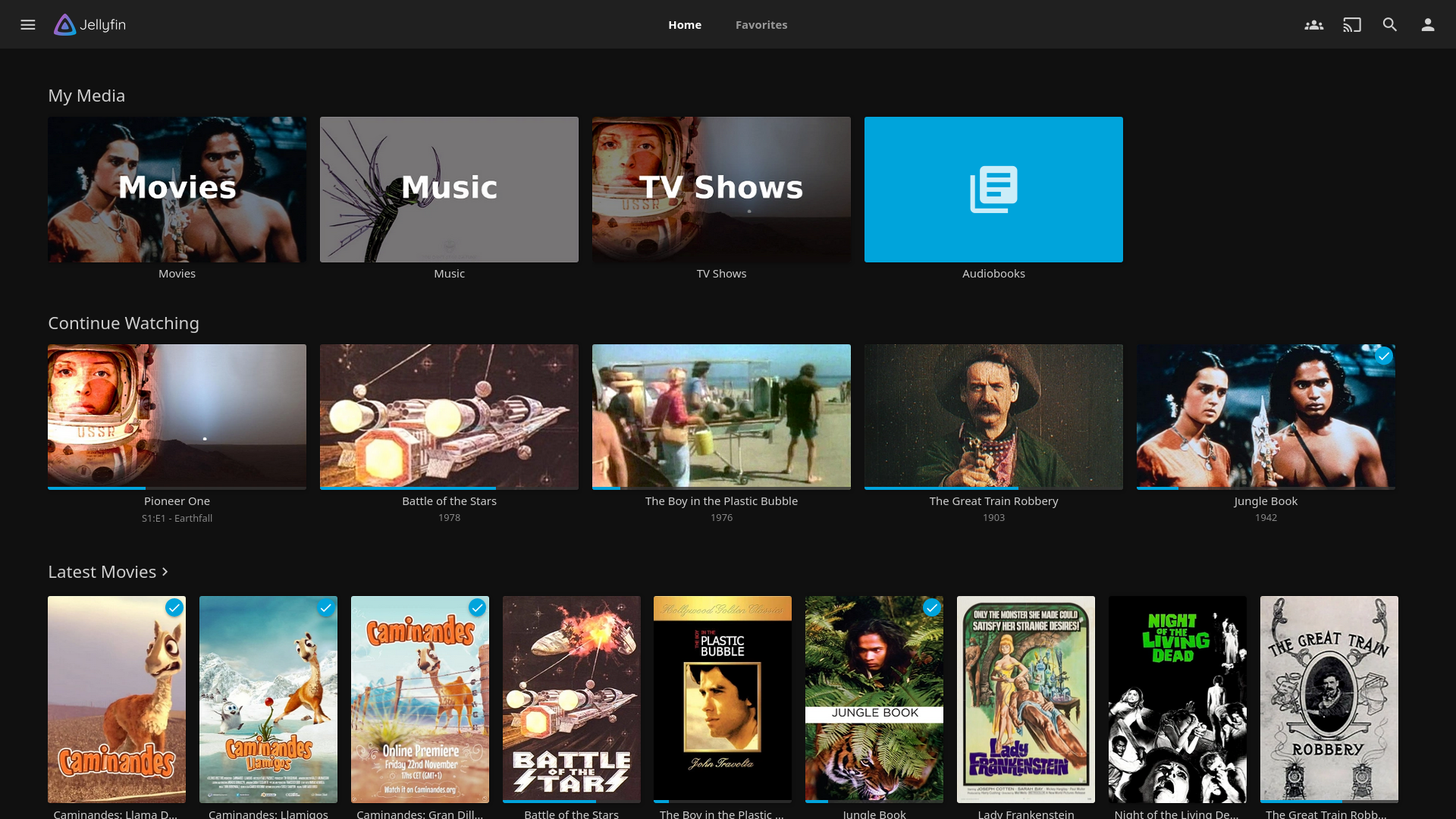 Jellyfin home interface showing media libraries and recent items