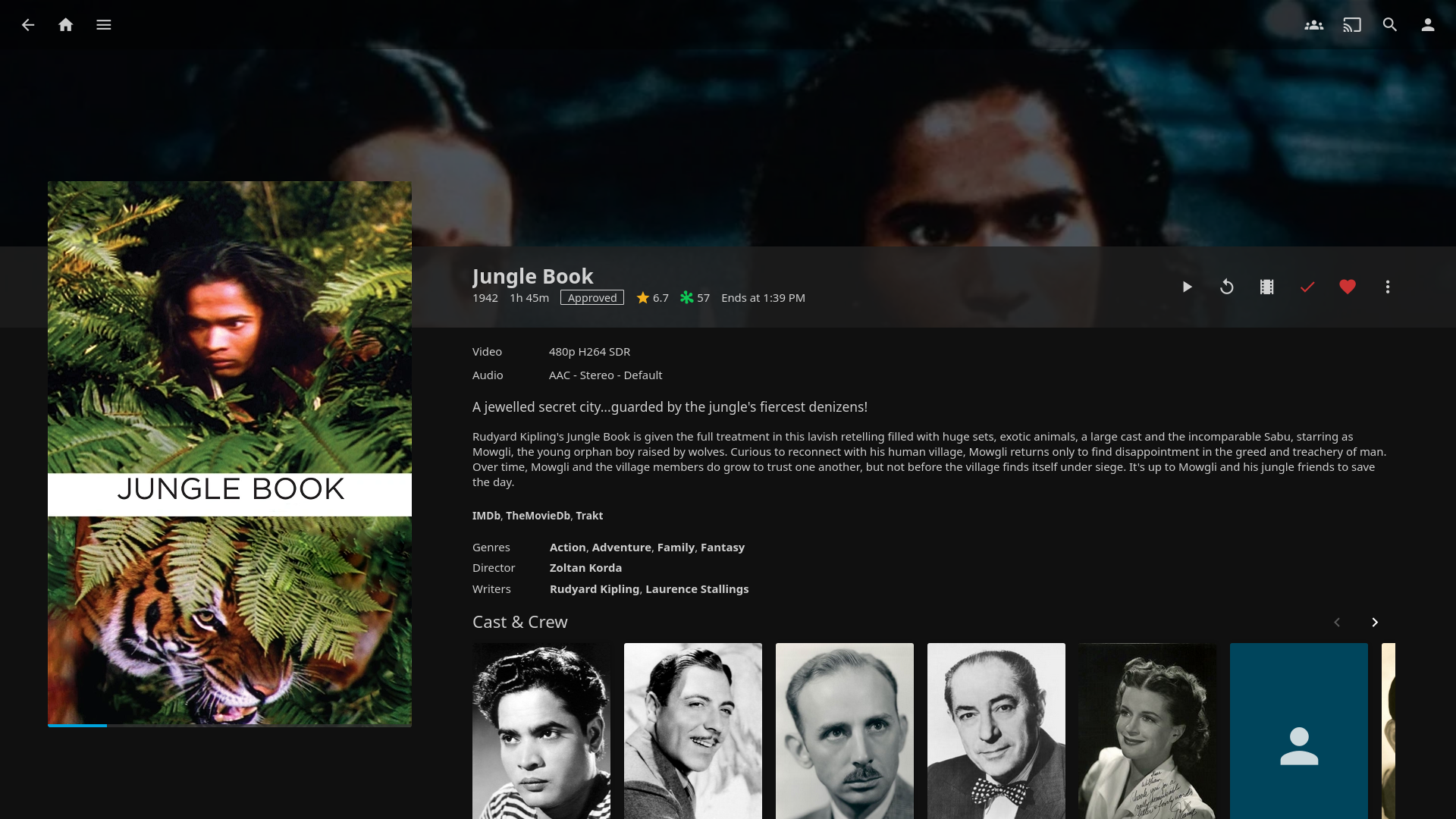 Jellyfin media details screen for a selected title