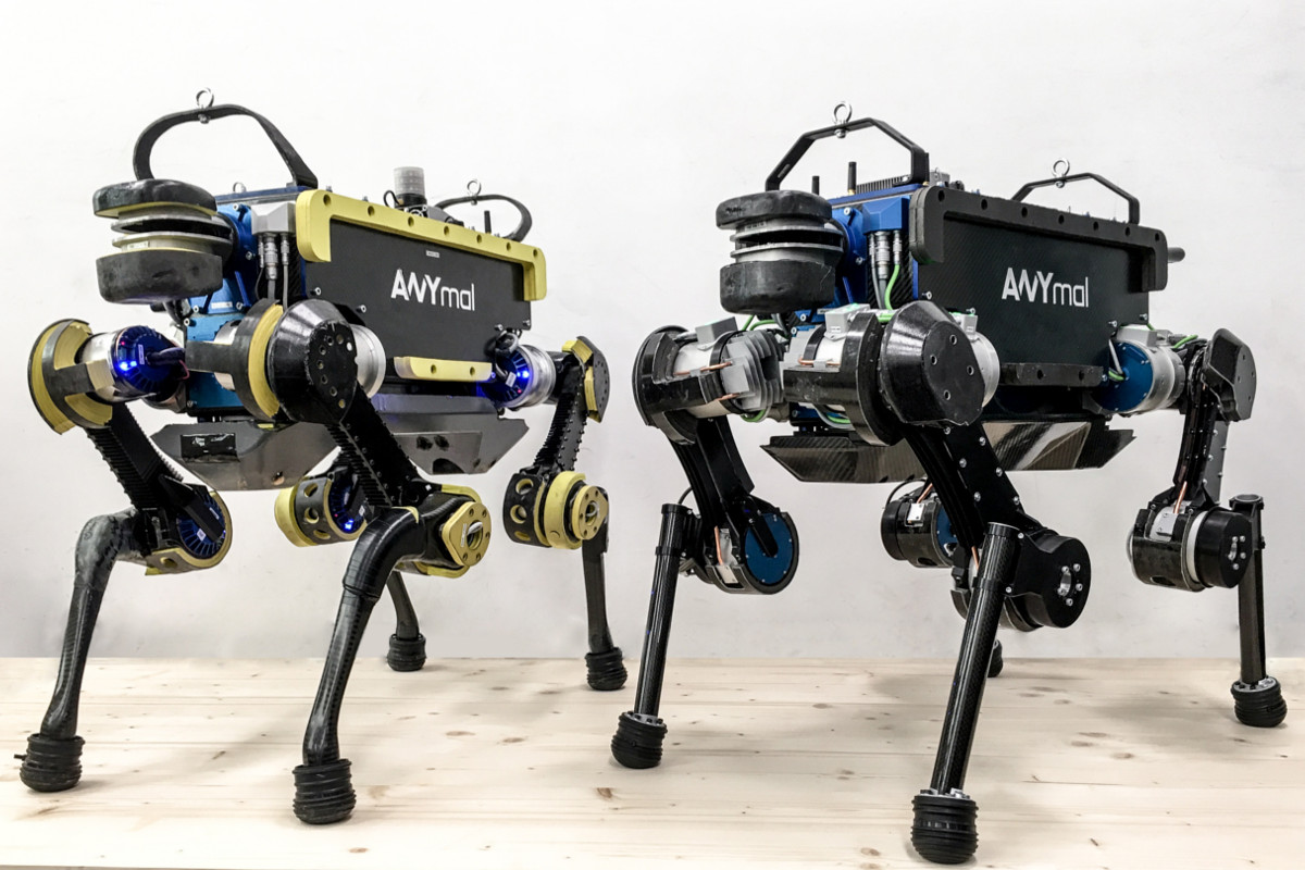 Two ANYmal robot configurations shown together