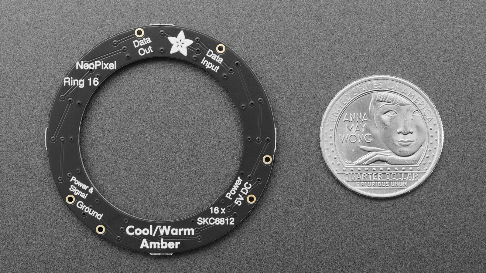 Close view of the 16-pixel Adafruit WWA NeoPixel ring